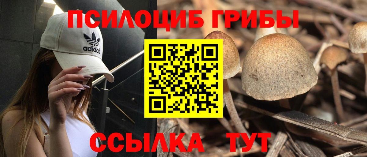 Псилоцибиновые грибы Psilocybine cubensis  как найти закладки  Избербаш  Вход с VPN 